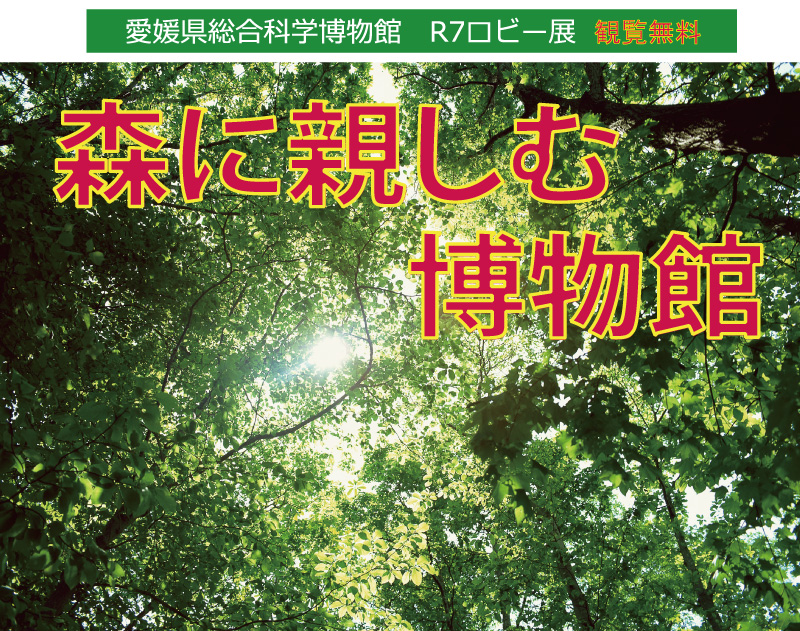 ロビー展「森に親しむ博物館」